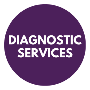 Diagnostic Services icon